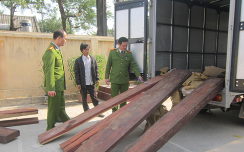 Phát hiện gỗ tiền tỷ chưa rõ nguồn gốc tại Sân Bay Nội Bài